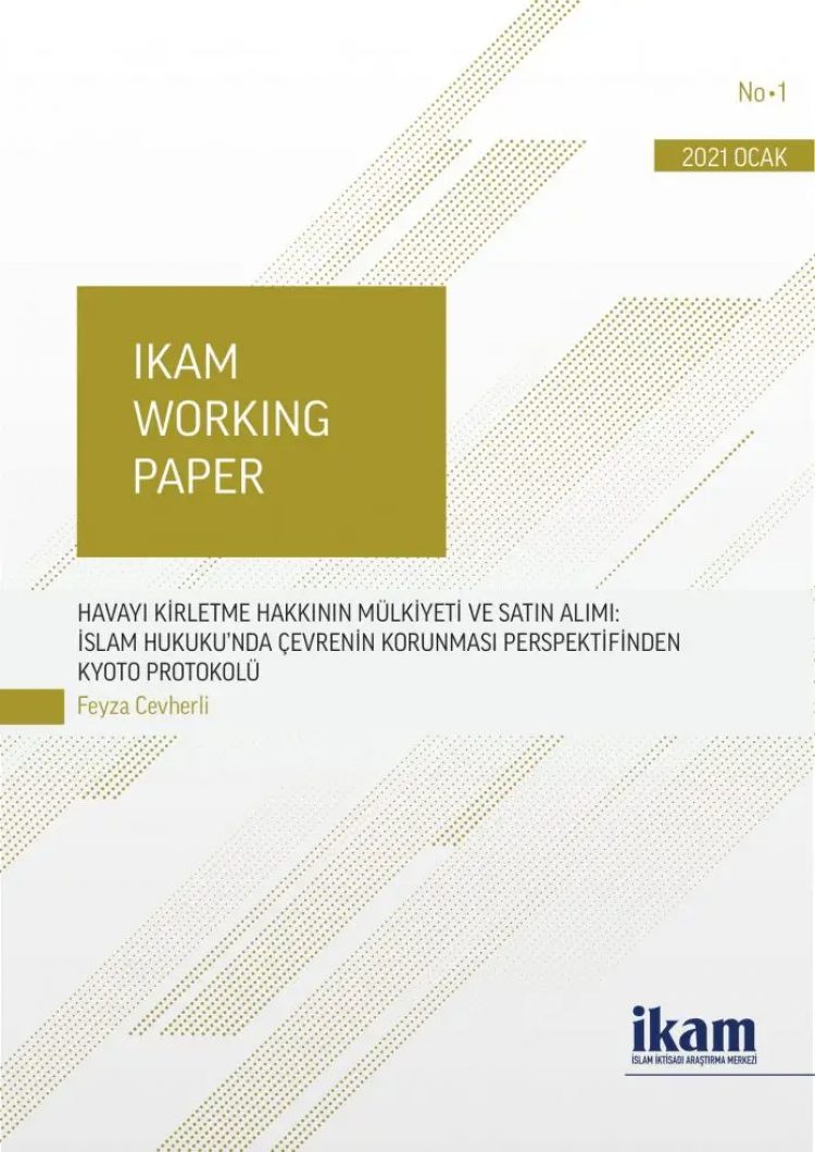 Havayı Kirletme Hakkının Mülkiyeti ve Satın Alımı